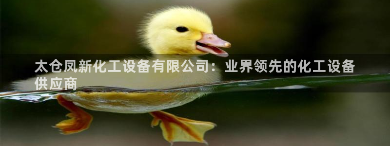 新航娱乐的创始人背景