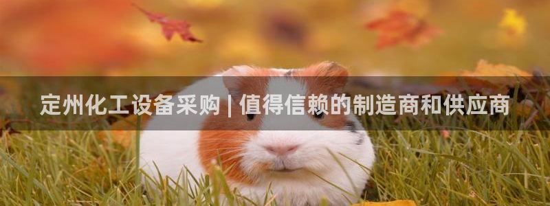 新航娱乐公司旗下艺人