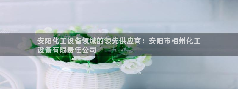 新航娱乐公司简介和历史背景