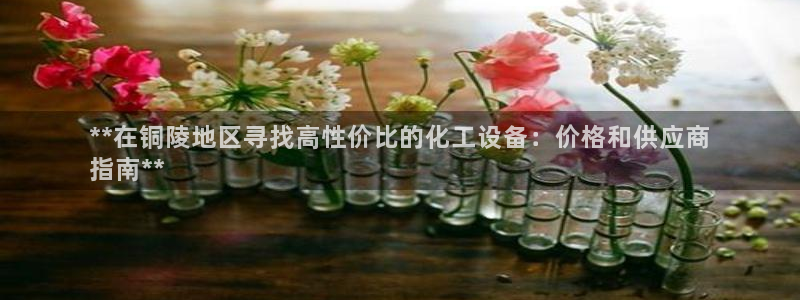 新航娱乐公司简介和历史背景介绍