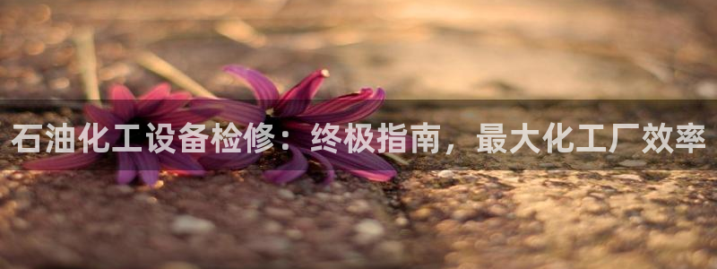 新航娱乐注册平台