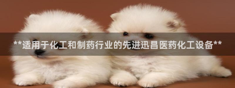 新航娱乐app最新版本更新内容是什么呢