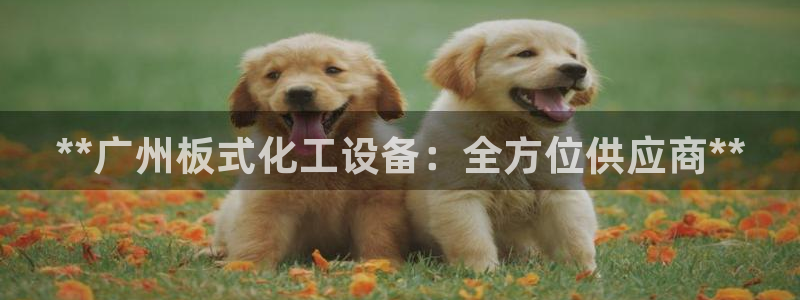 新航娱乐倒闭了吗知乎全文