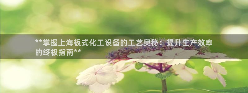 新航娱乐入网要求