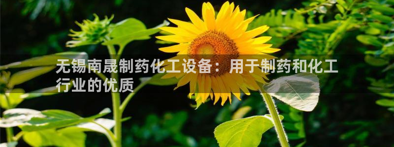 新航娱乐公司简介和历史背景怎么写