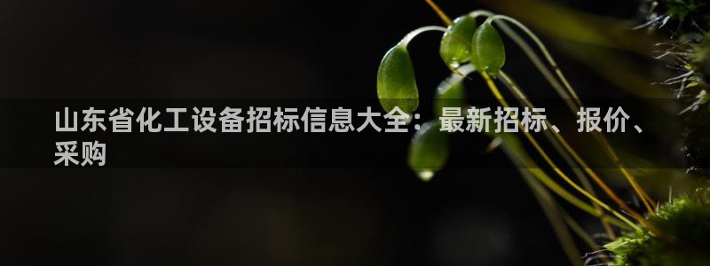 新航娱乐的创始人背景是什么