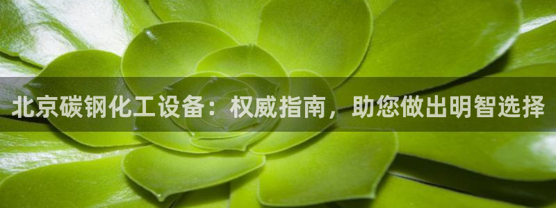 新航娱乐的创始人是谁呀