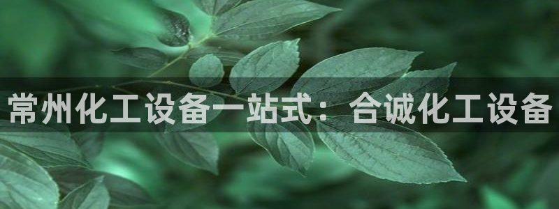 新航娱乐公司简介和历史背景分析