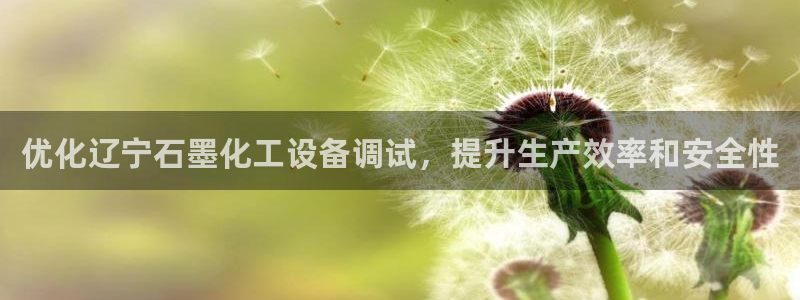 新航娱乐的股东名单和背景介绍：优化辽宁石墨化工设备调试，提升