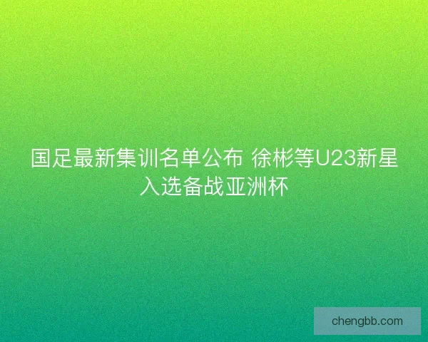 国足最新集训名单公布 徐彬等U23新星入选备战亚洲杯